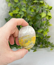 Load image into Gallery viewer, Bumblebee jasper palm stone
