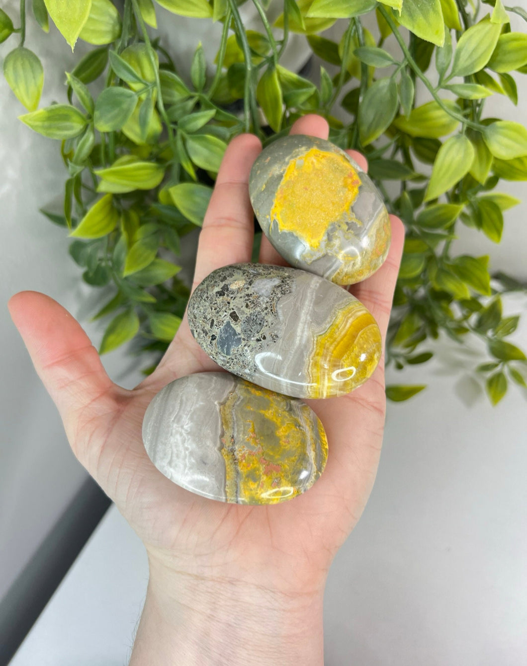 Bumblebee jasper palm stone