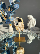 Load image into Gallery viewer, Blue druzy agate geode 3095
