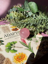 Load image into Gallery viewer, Brazilian Rose Quartz Sphere with Asterism Stone for Love Heart Chakra and Spiritual Healing 3314L
